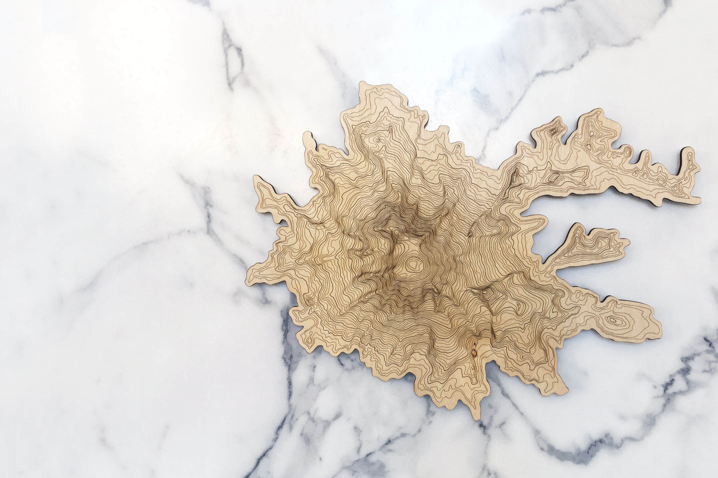 Mt Rainier Topography Wall Art