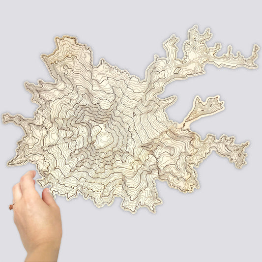 Mt Rainier Topography Wall Art