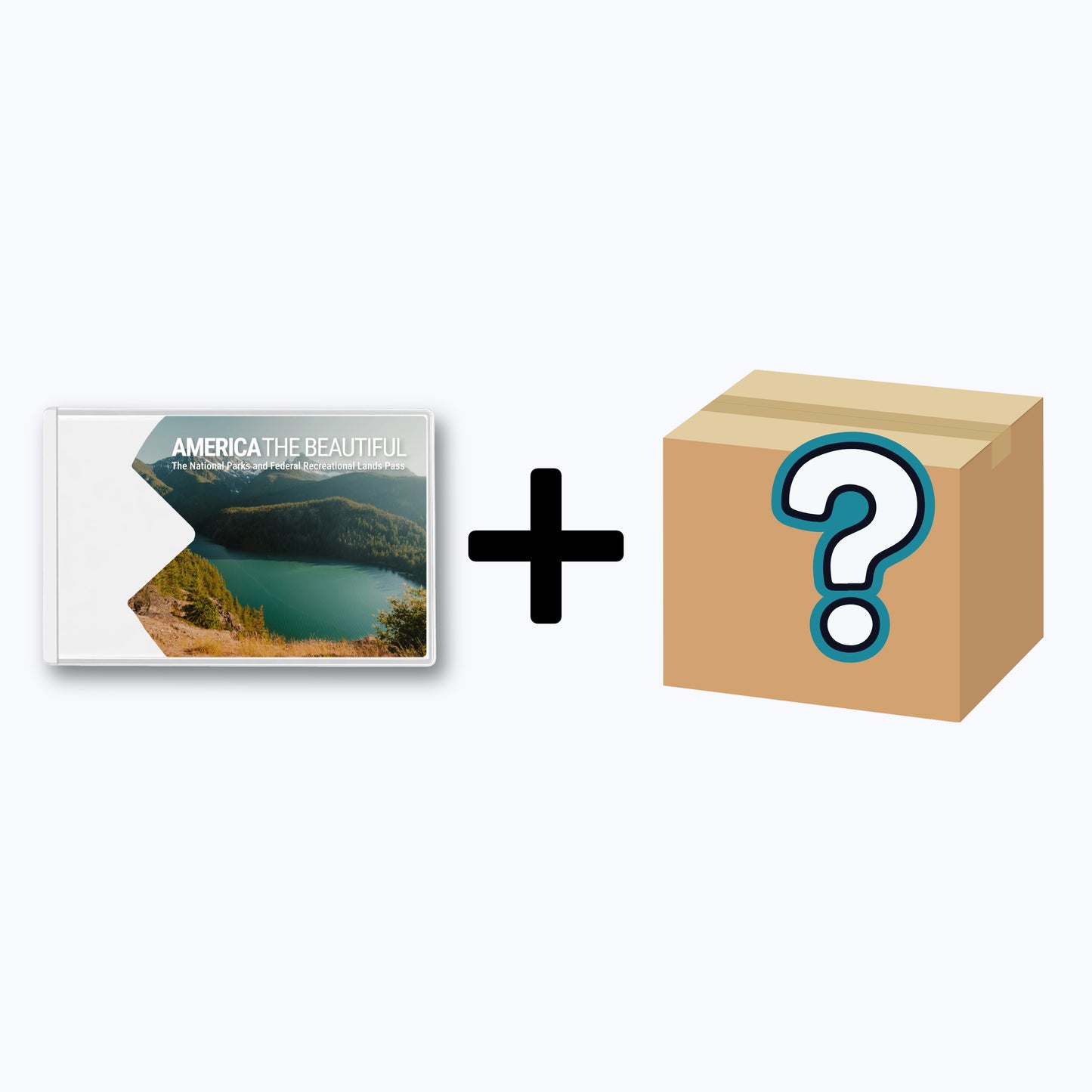 National Parks Pass Mystery Pack - Washington ($65+ Value)