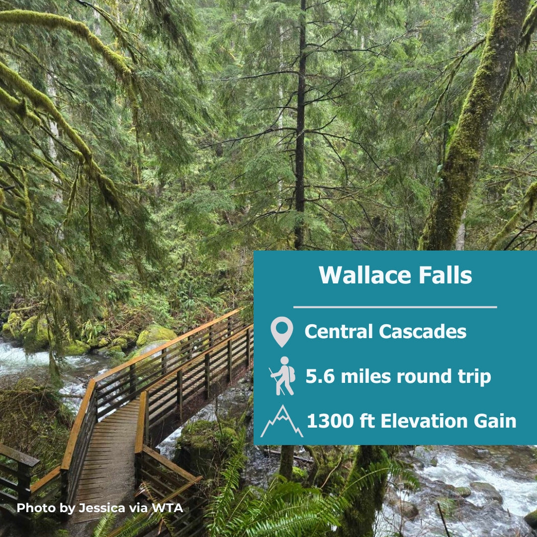 Chasing Waterfalls: Explore the Stunning Wallace Falls Trail