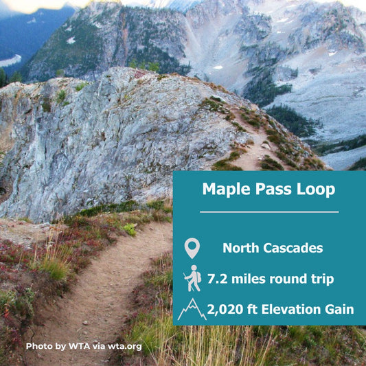 A Ridgeline Wonderland with Wildflowers, Alpine Lakes, and Epic Views
