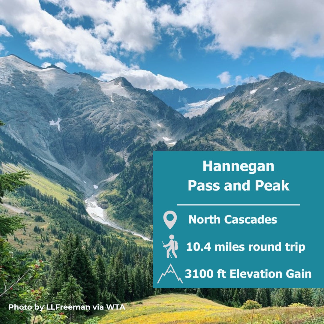 Hannegan Pass & Peak: A North Cascades Classic Wrapped in Fall Colors 🍂