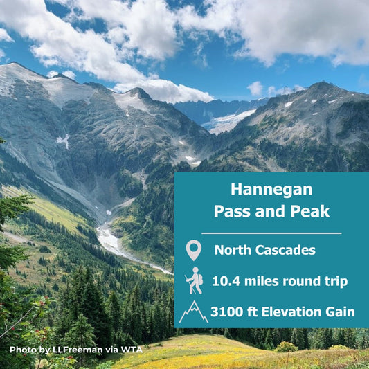Hannegan Pass & Peak: A North Cascades Classic Wrapped in Fall Colors 🍂