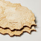 The Mt. Rainier Coaster Set (North Drinkware)