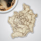 Washington Volcanoes Topography Coasters - Set of 4