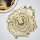 Washington Volcanoes Topography Coasters - Set of 4