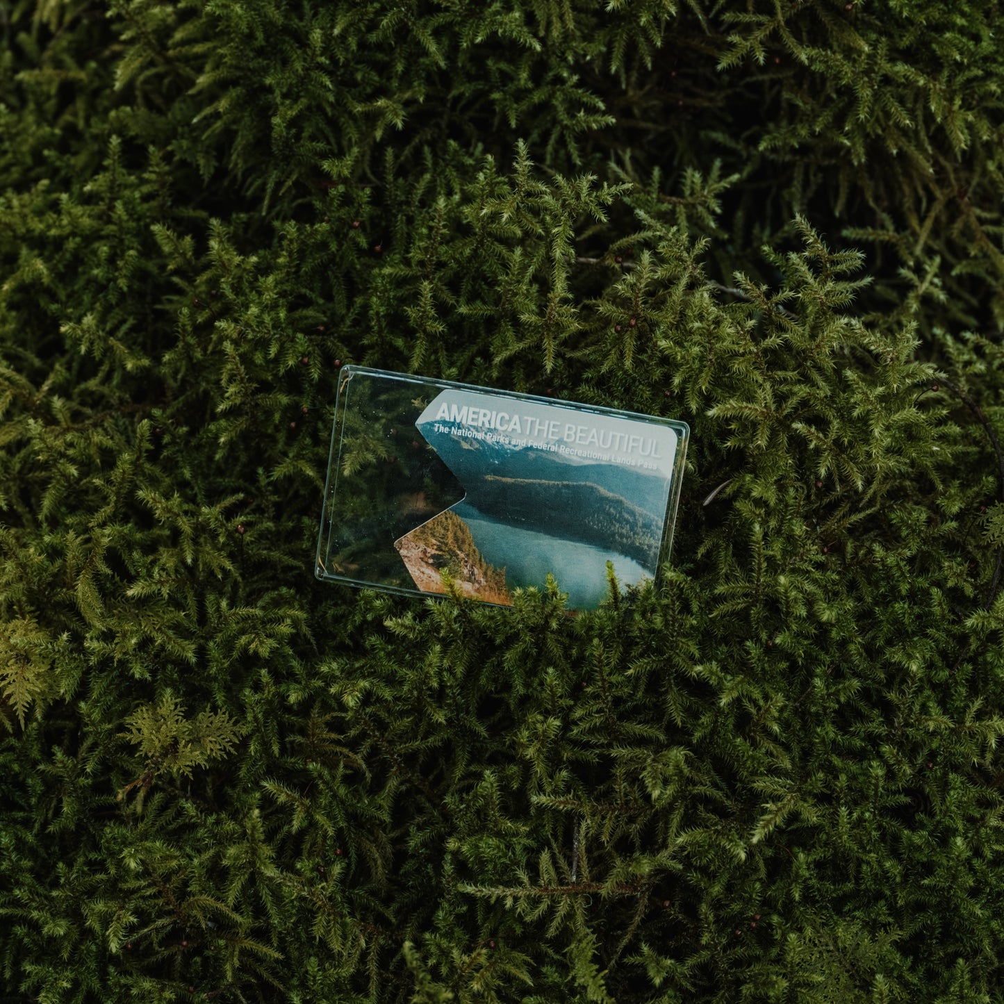 America the Beautiful National Park Pass Card Sleeve - Single