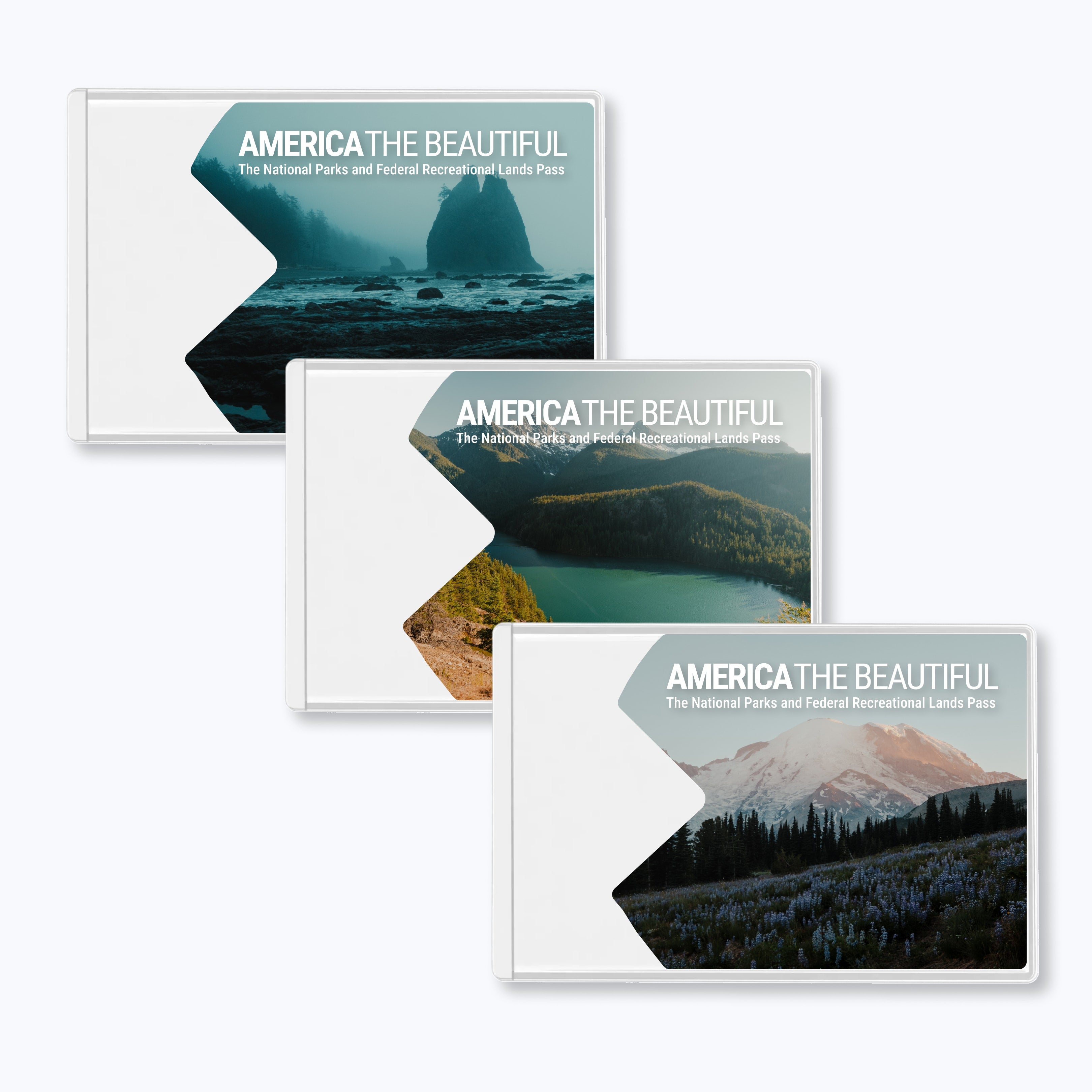America the Beautiful National Park Pass Card Sleeve - Rainier Wildflowers