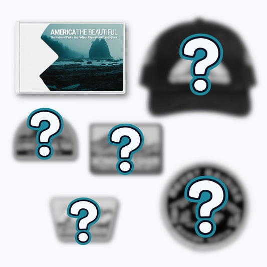 National Parks Pass Mystery Pack - Washington ($65+ Value)