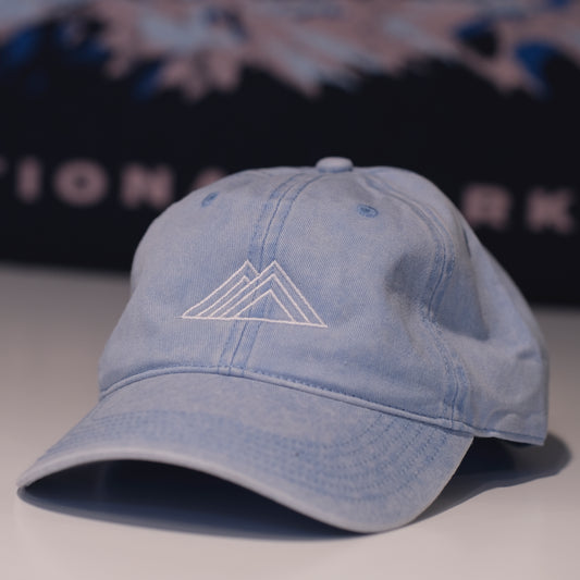 Vintage Snow Wash Dad Hat